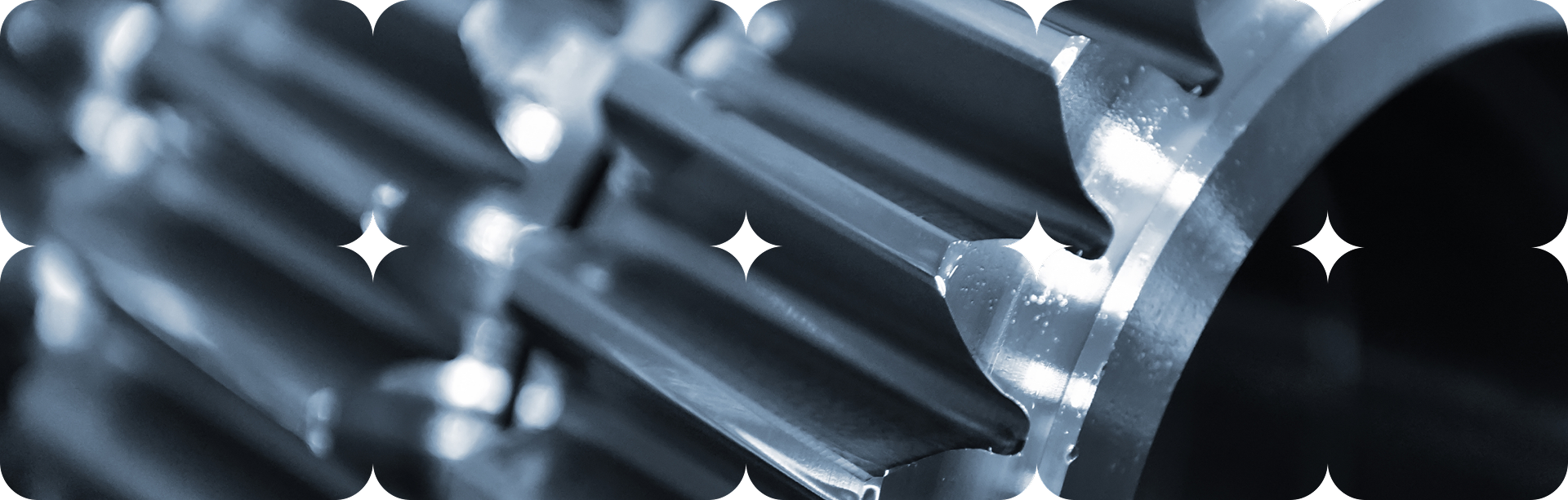 Кейс по созданию сайта на Tilda ЗНМУ